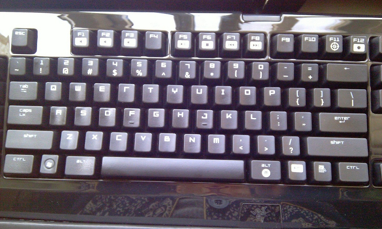 IMAG0056.jpg