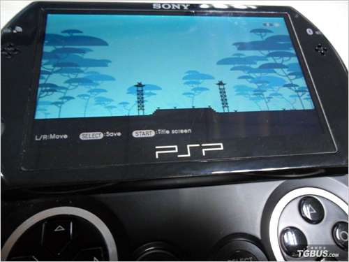 201005311455168528.jpg