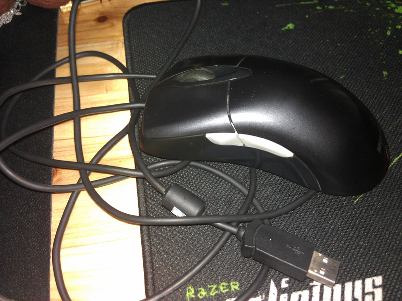 IMAG0033.jpg