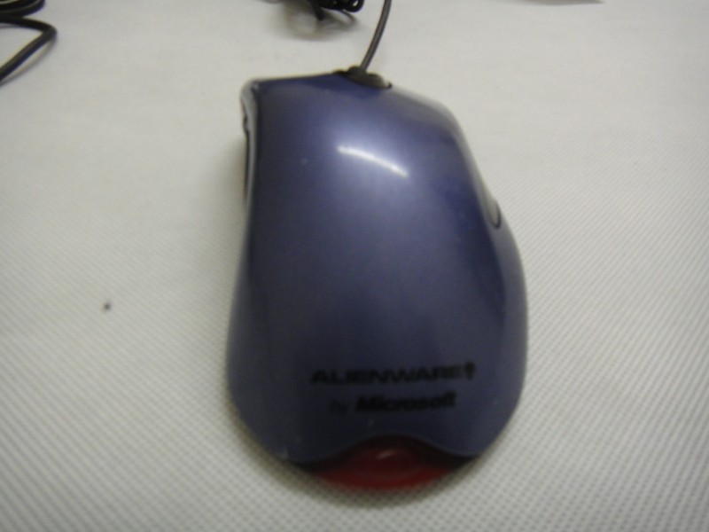 DSC05495.JPG