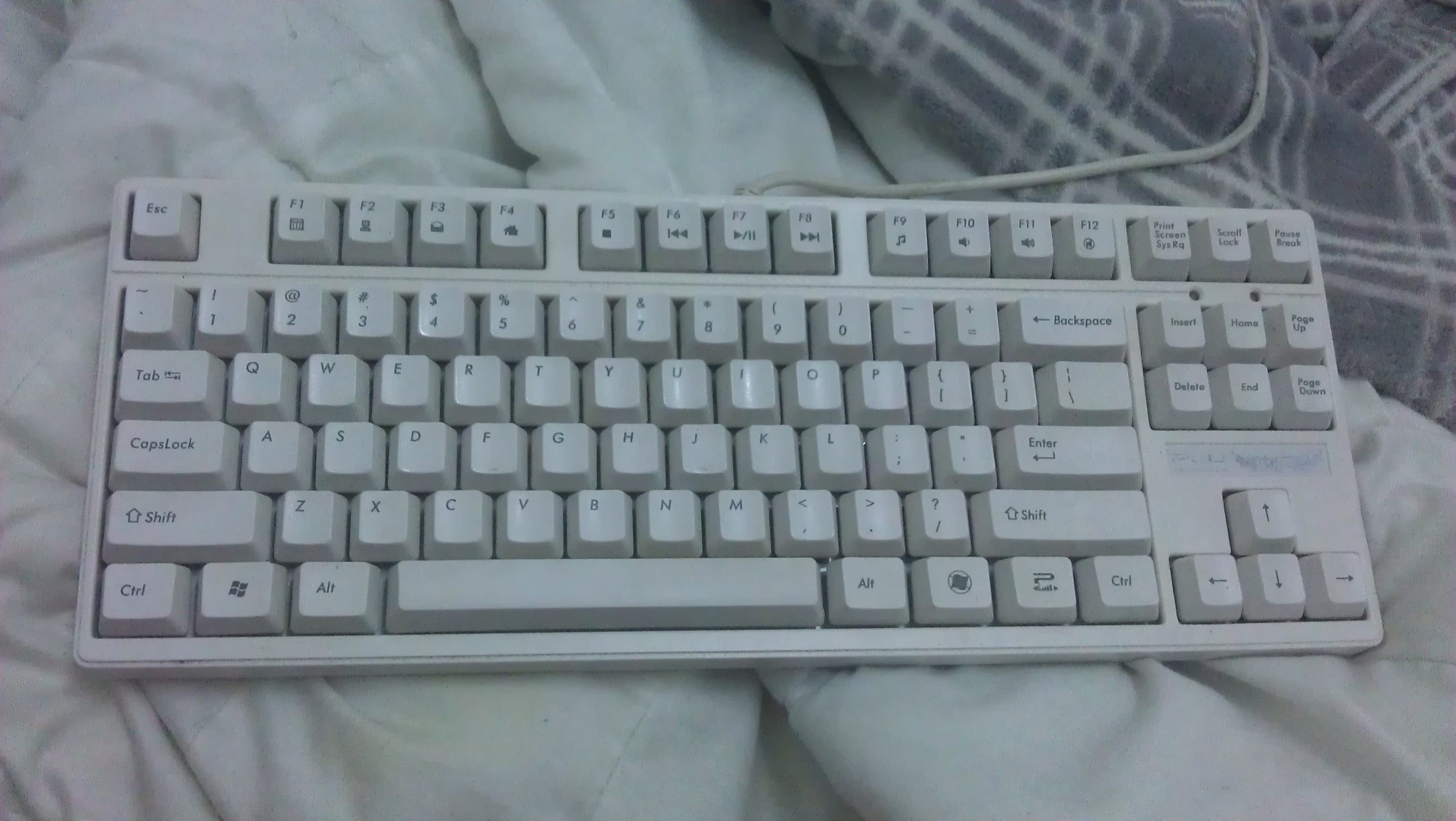 IMAG0001.jpg
