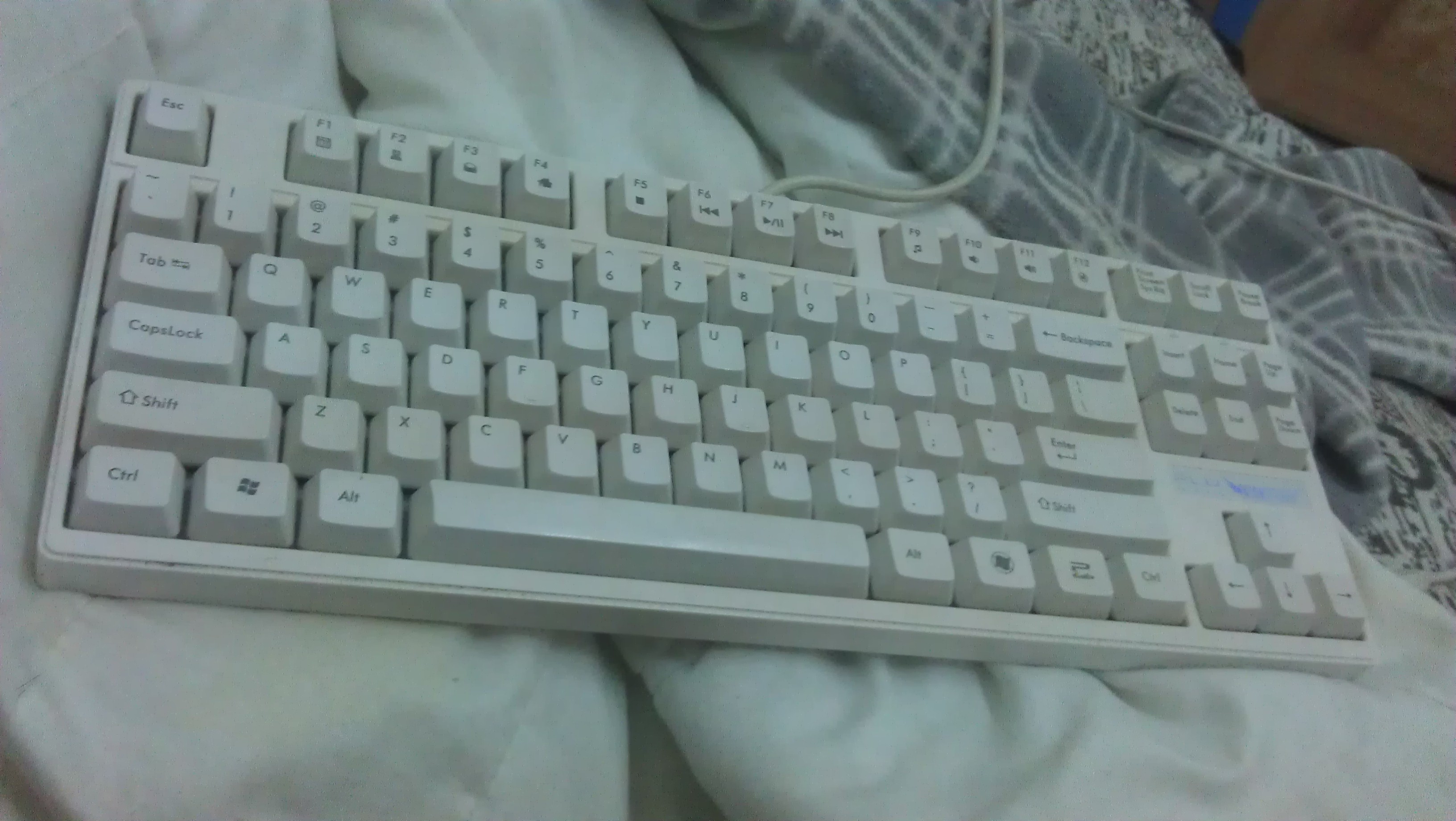 IMAG0005.jpg
