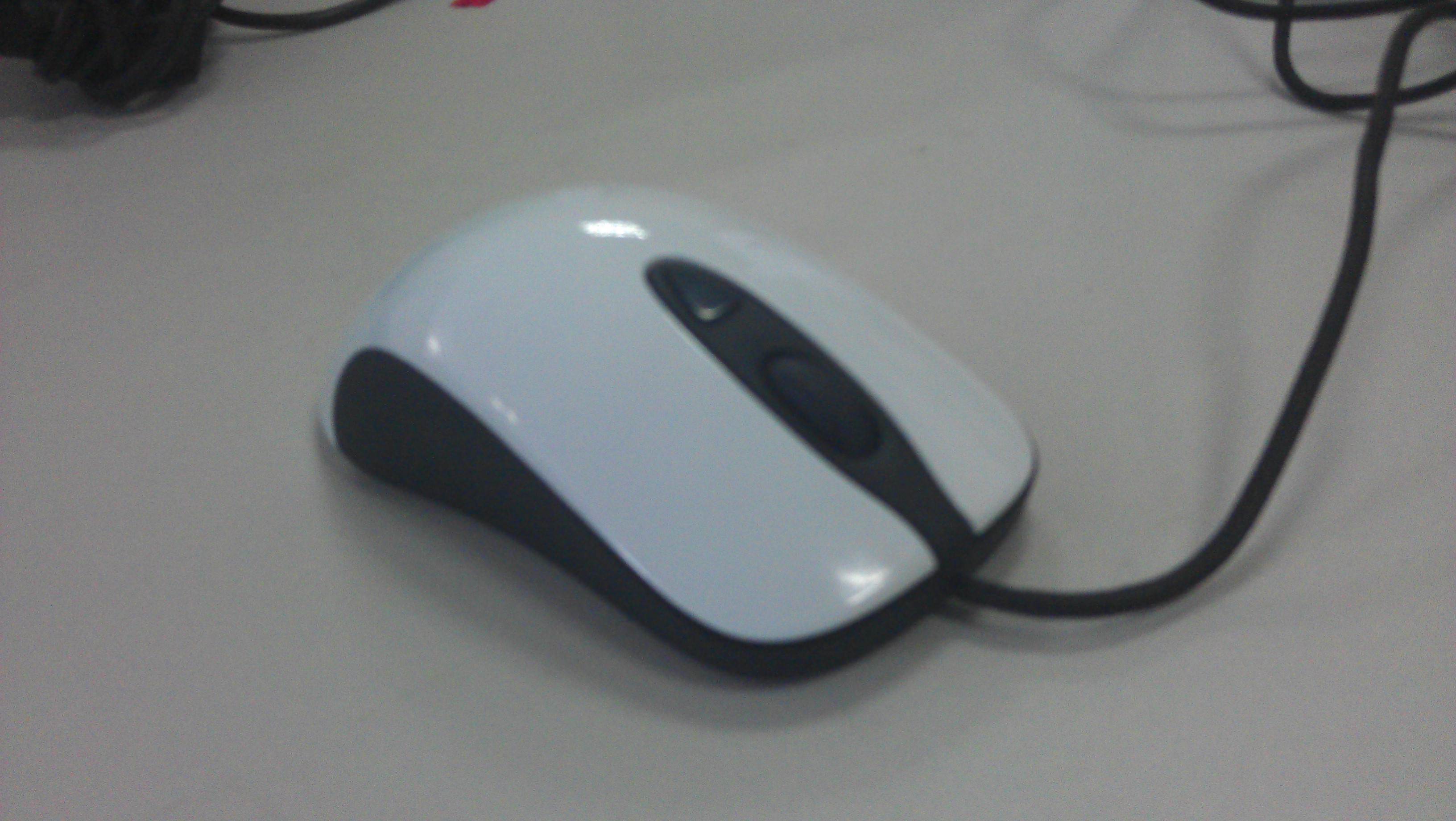 IMAG0007.jpg