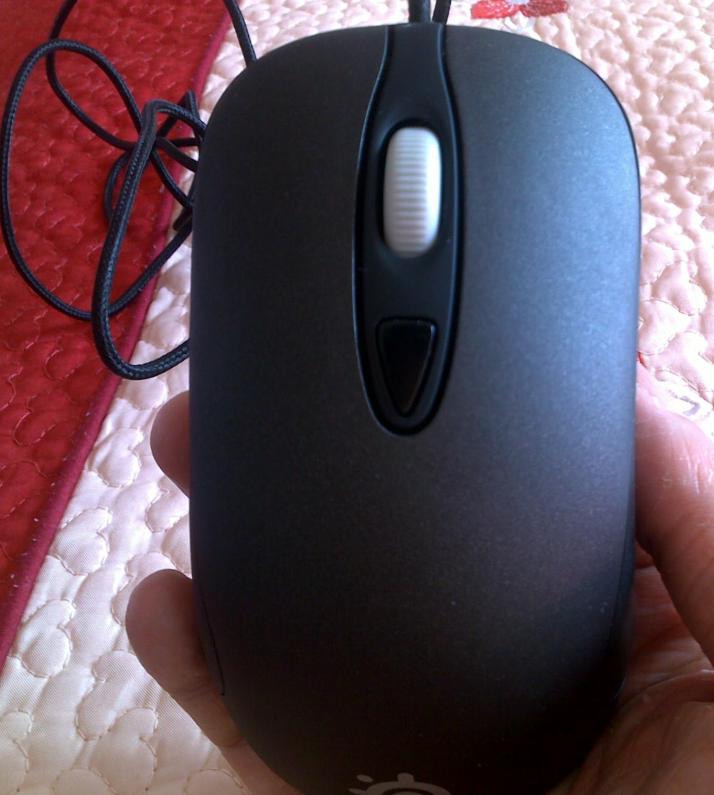 kinzu��+ȫ�¼׳治����=180��SF