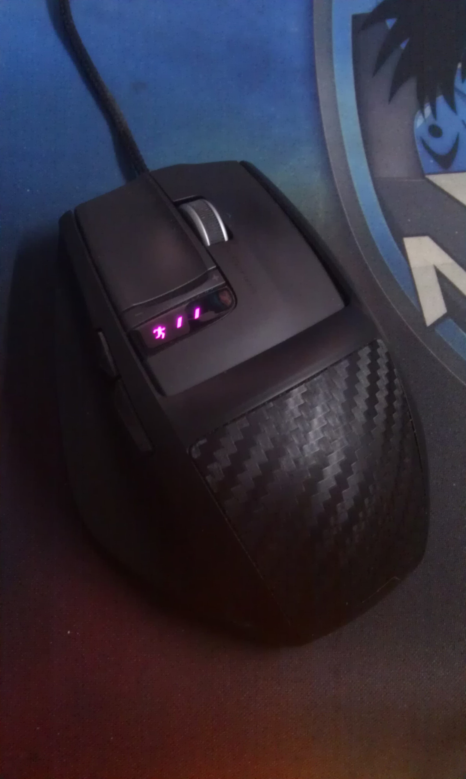 IMAG0025.jpg