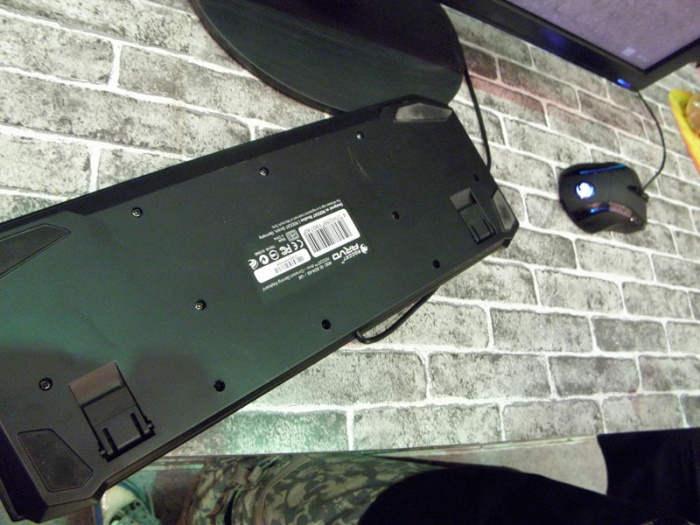 P1010138_JPG_thumb.jpg