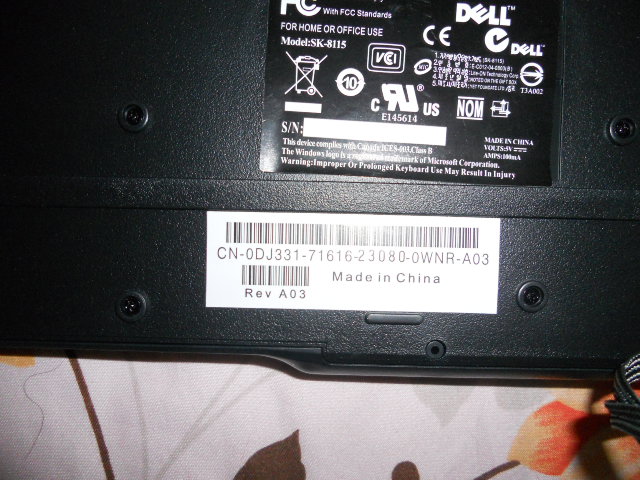 DSCN0963.JPG