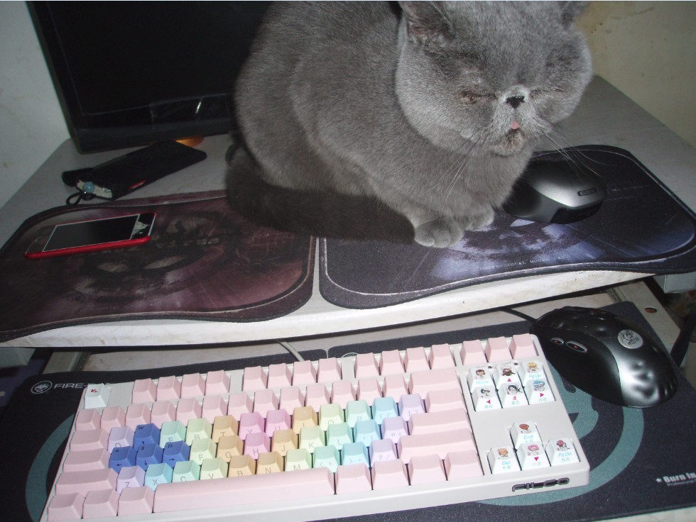MX518 60Ԫ ������