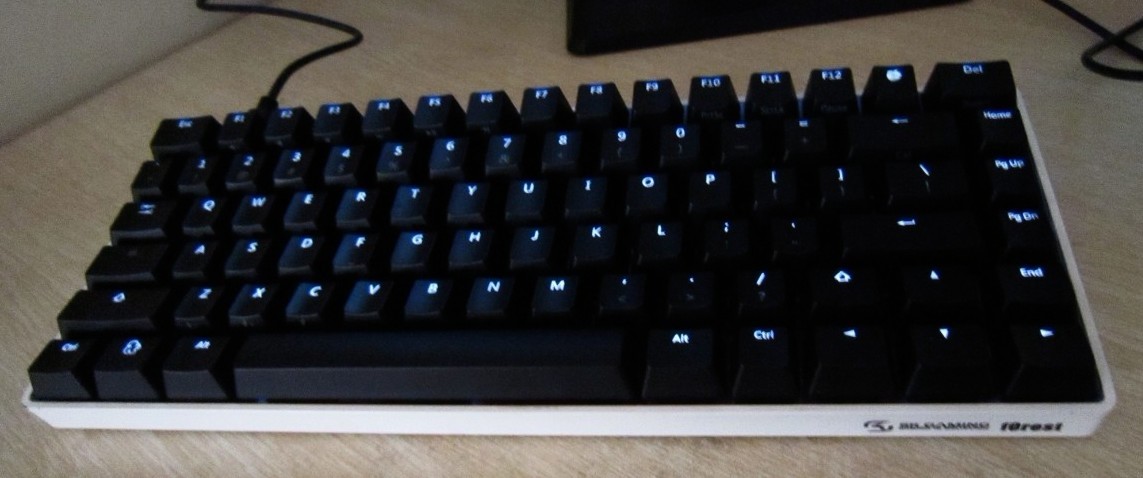  Ů    fOrest  RACE   