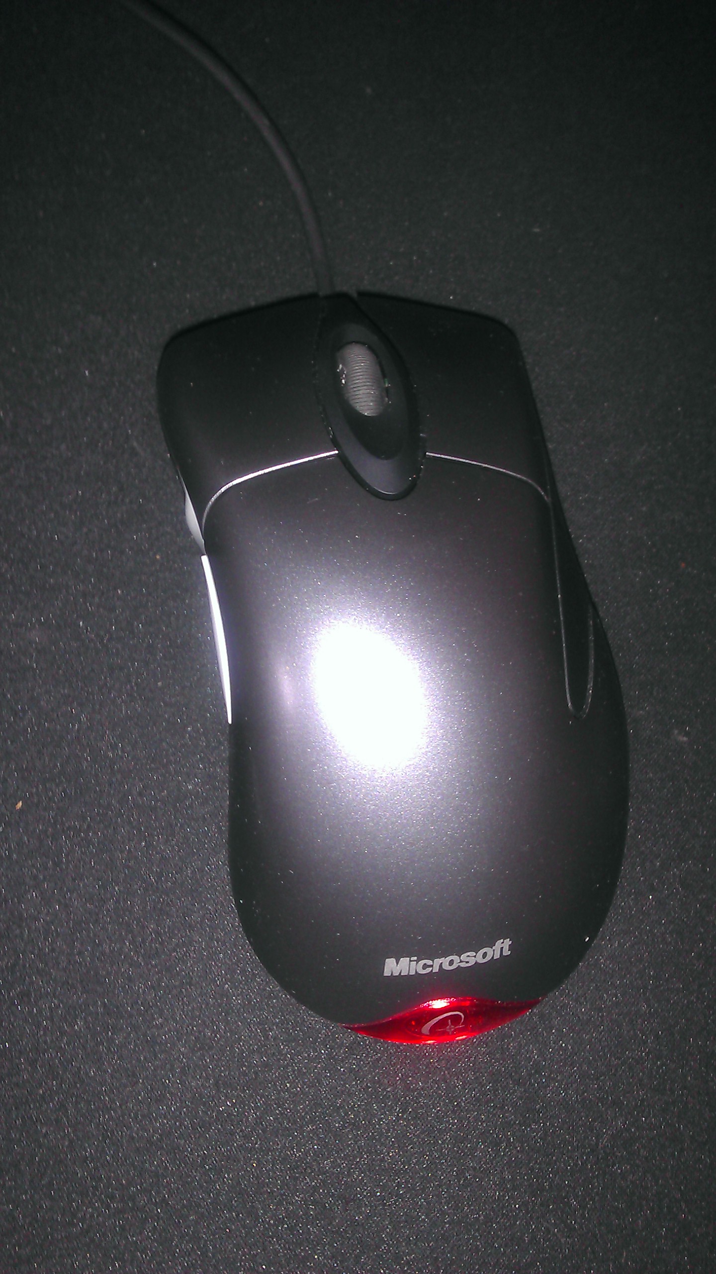 IMAG0031.jpg
