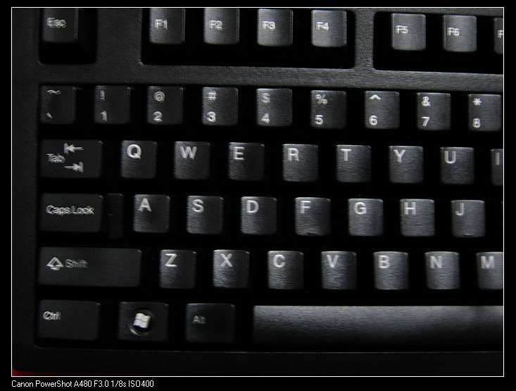 nEO_IMG_IMG_2239.jpg
