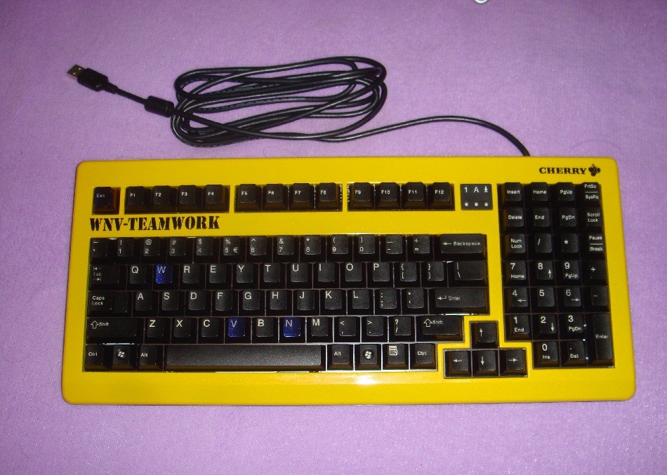 �޸��½��ų���qck mym cherry1865wnv pc350���󶨳��ż�n�������