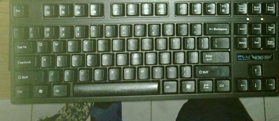 ����������95��PLU 87���࣡290����᲻�ࡣ