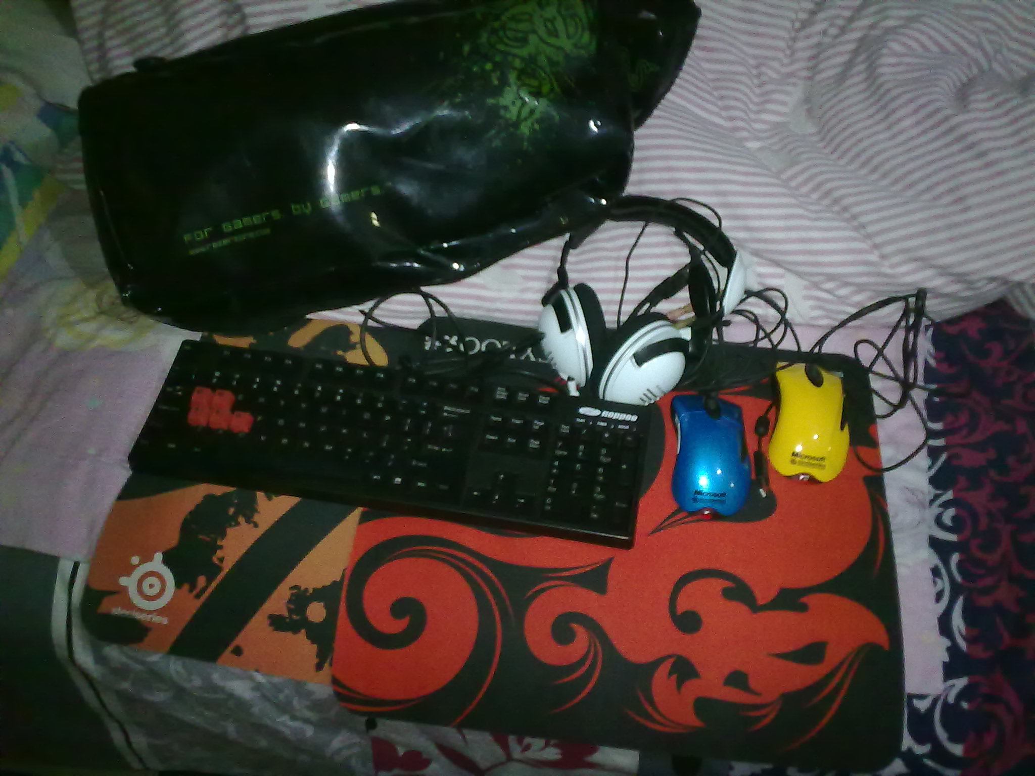 20120305034.jpg