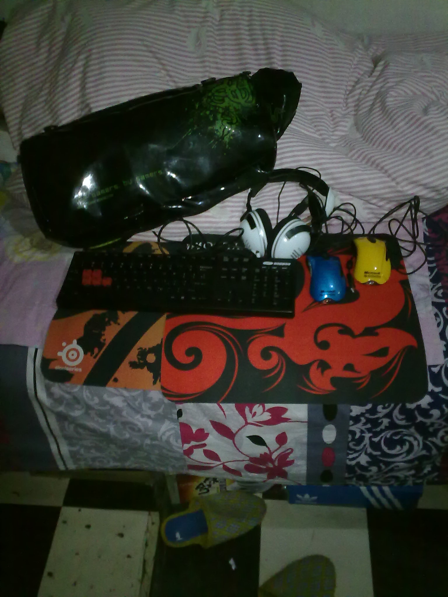 20120305036.jpg