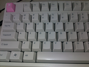 ����Filcoһ���׺ڣ�EG���׳��ٶȴ�ţ�֧�ִ����潻��