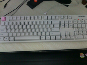 ����Filcoһ���׺ڣ�EG���׳��ٶȴ�ţ�֧�ִ����潻��