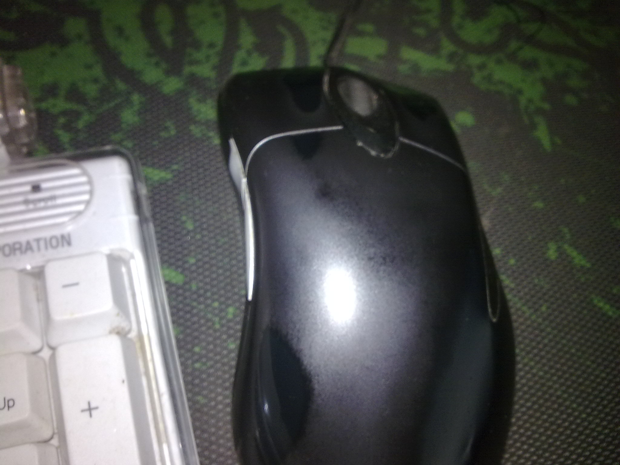 20120307080.jpg