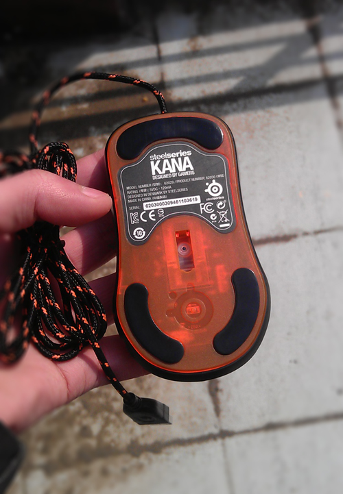 ��ʹ��һ��KANAһֻ���ѳ���