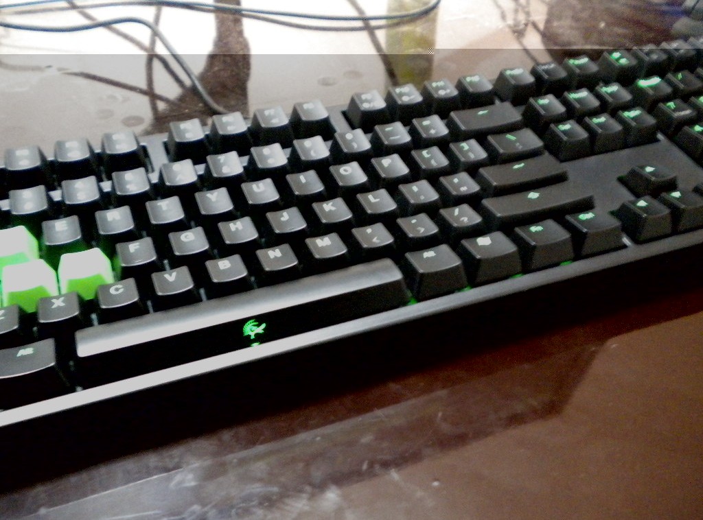 ��۳���9��DUCKY SHINING �̹���ᣨ�Ѿ���ͼ��
