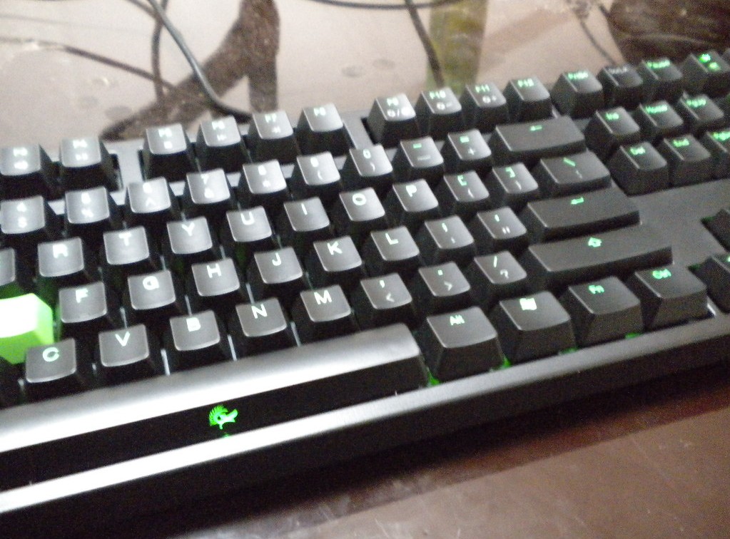 ��۳���9��DUCKY SHINING �̹���ᣨ�Ѿ���ͼ��