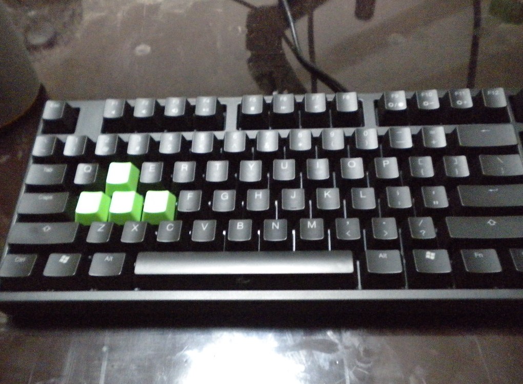 ��۳���9��DUCKY SHINING �̹���ᣨ�Ѿ���ͼ��