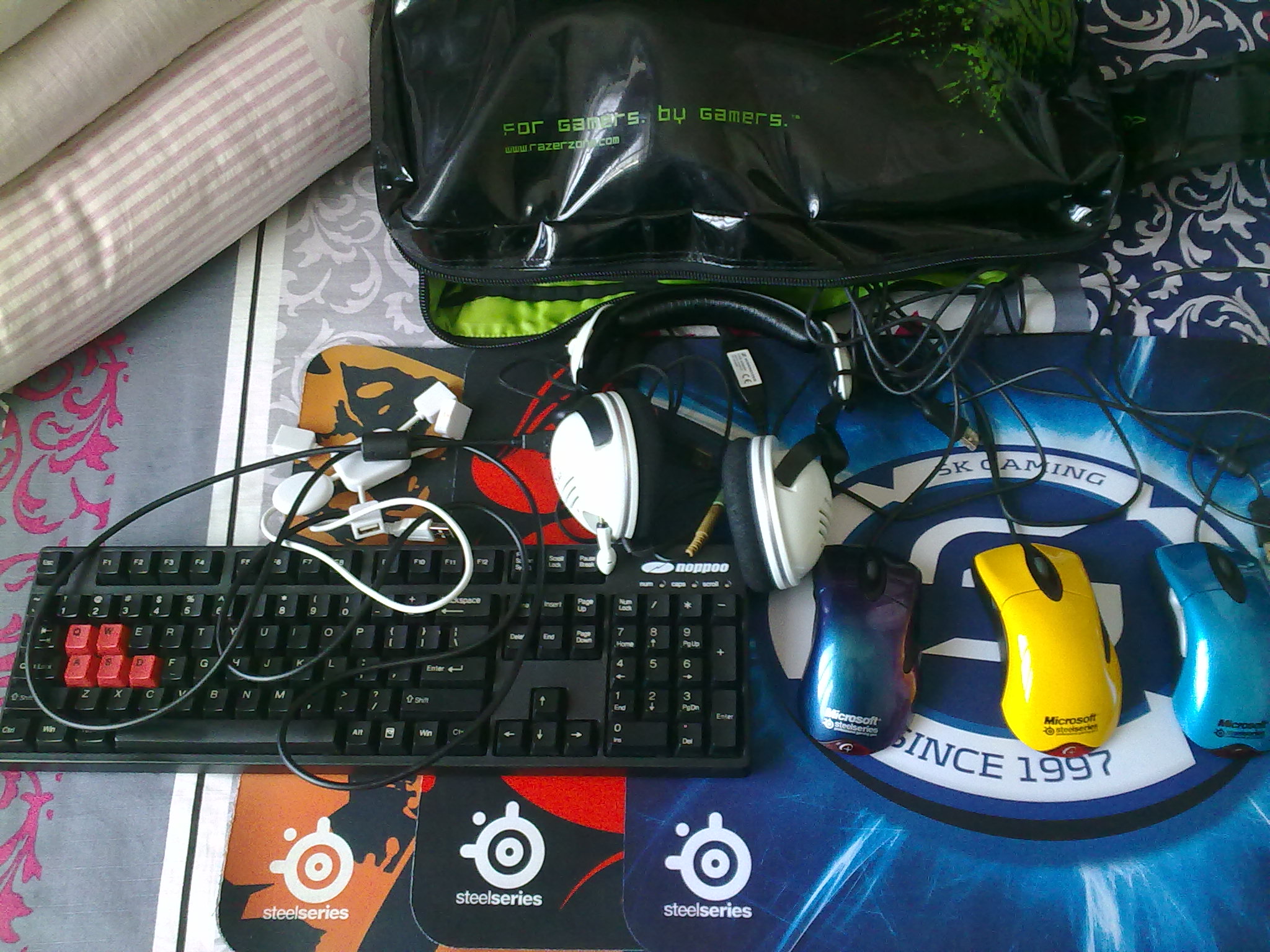 20120310043.jpg