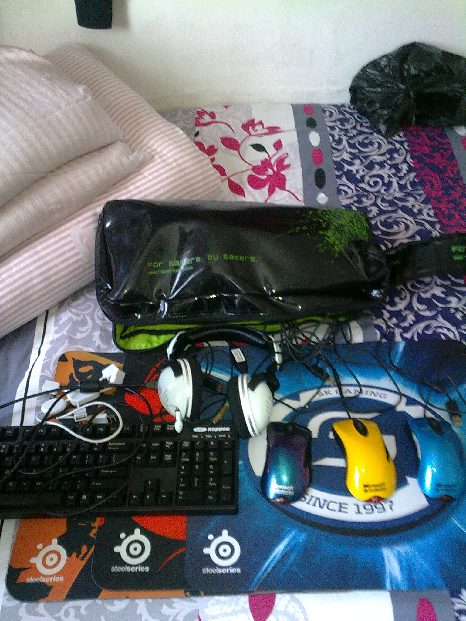 20120310044.jpg