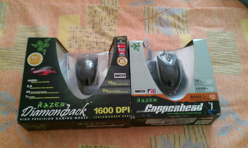 IMAG0105.jpg