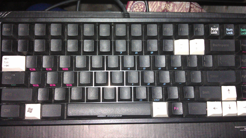 IMAG0080.jpg