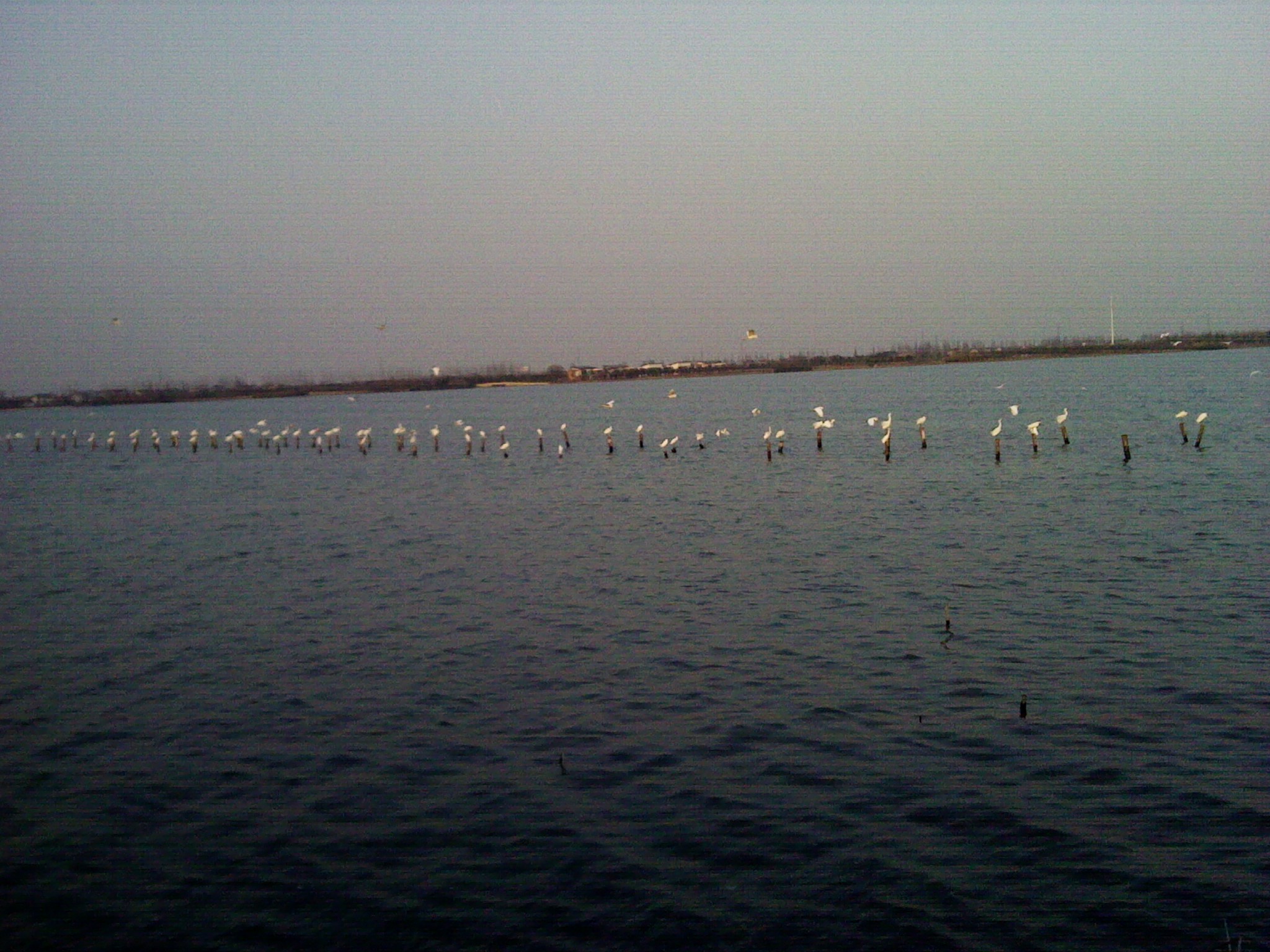 20120313.jpg