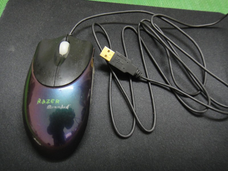 DSC06256.JPG