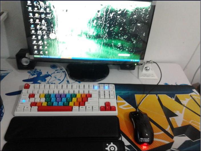95¿׺87׼ñ+