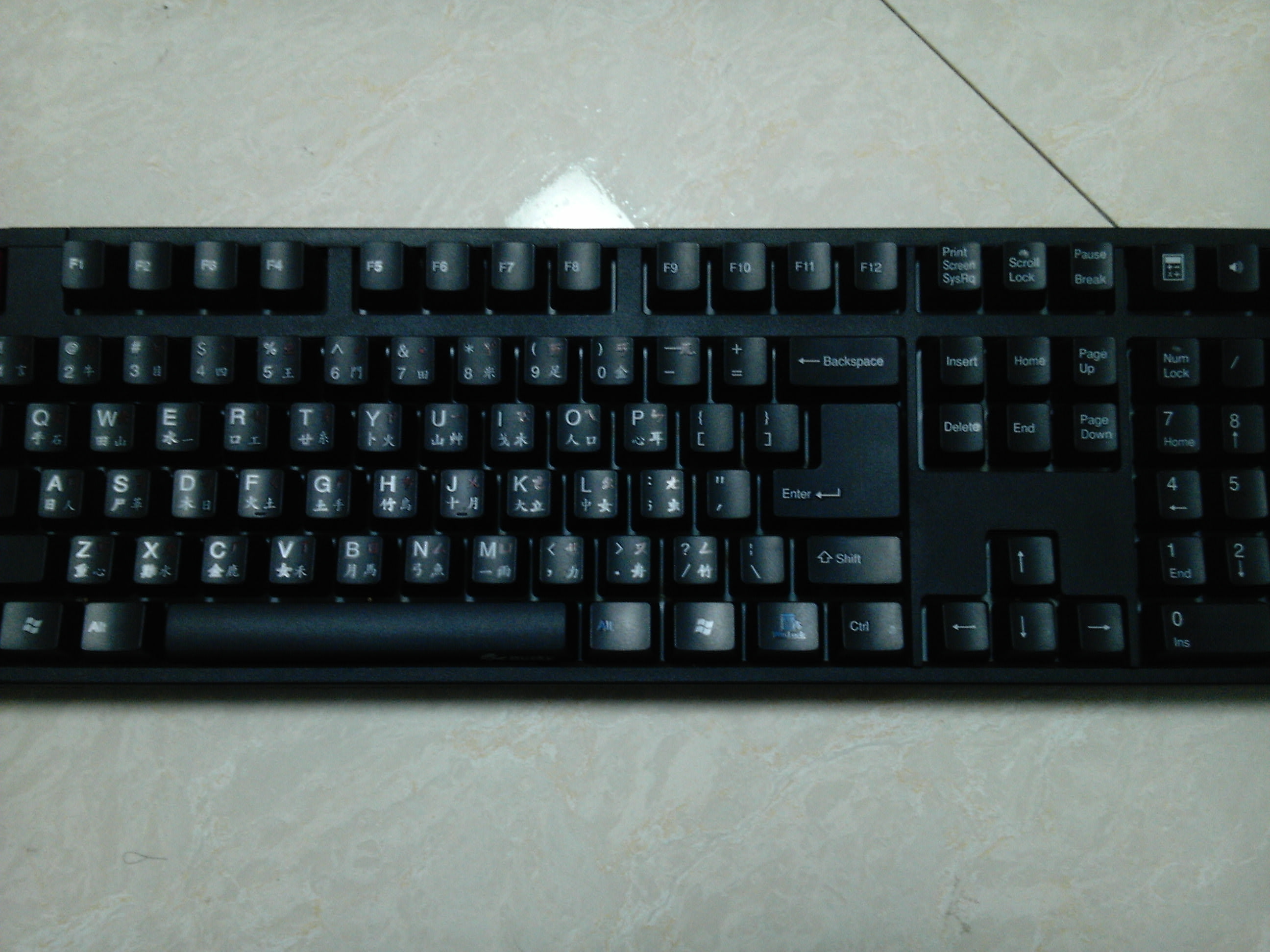 ����ʬ��   ducky1008������ (�ѳ�)