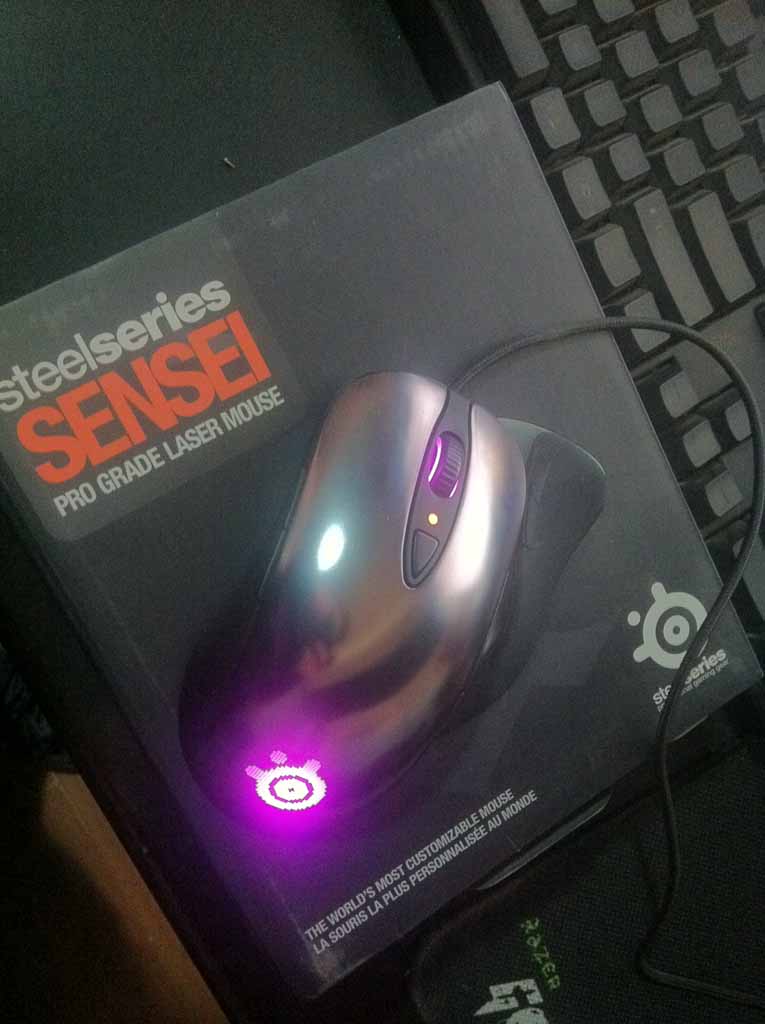 ԳSENSEIУ~