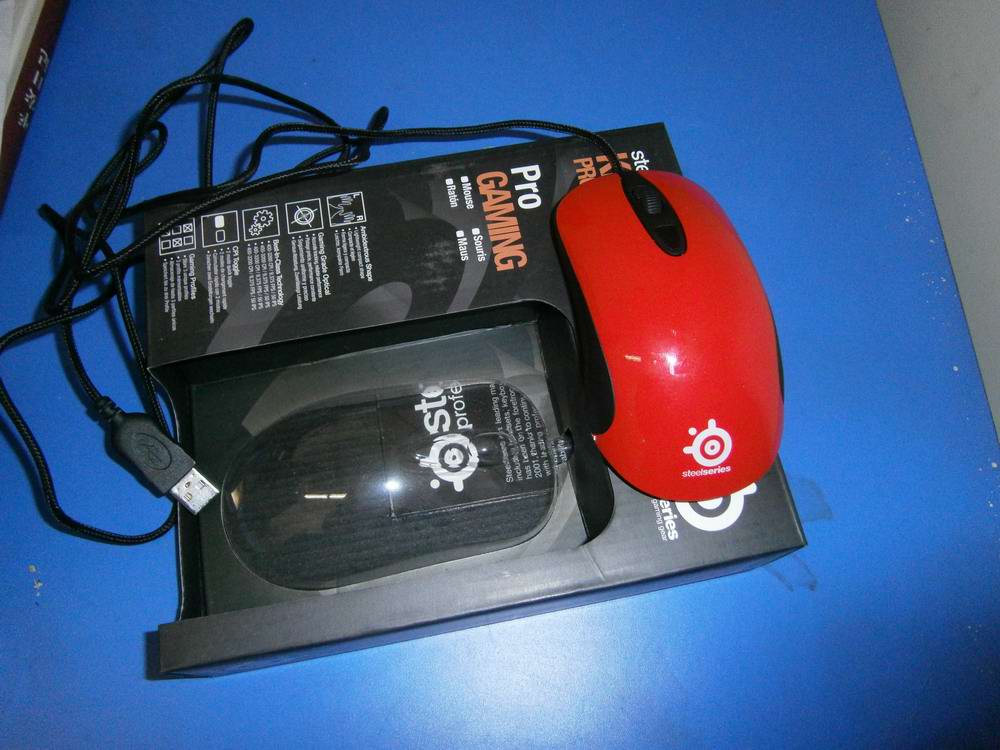 P1010005.JPG
