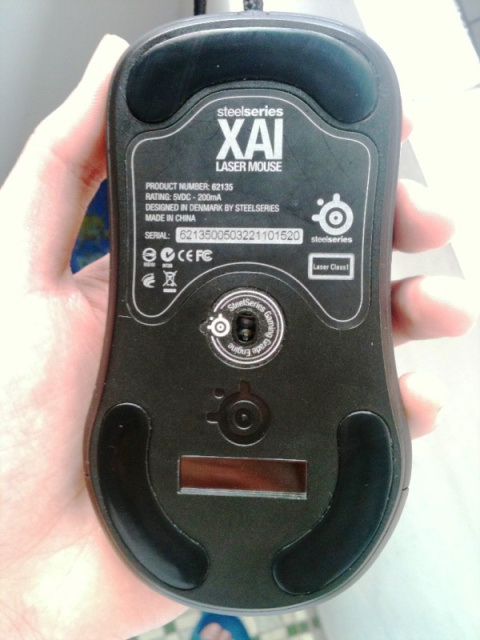 �������С�9��+��ԭ��XAI��һֻ