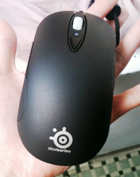 �������С�9��+��ԭ��XAI��һֻ