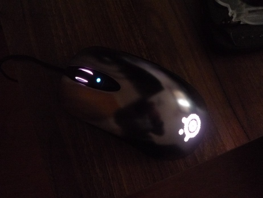 ����sensei