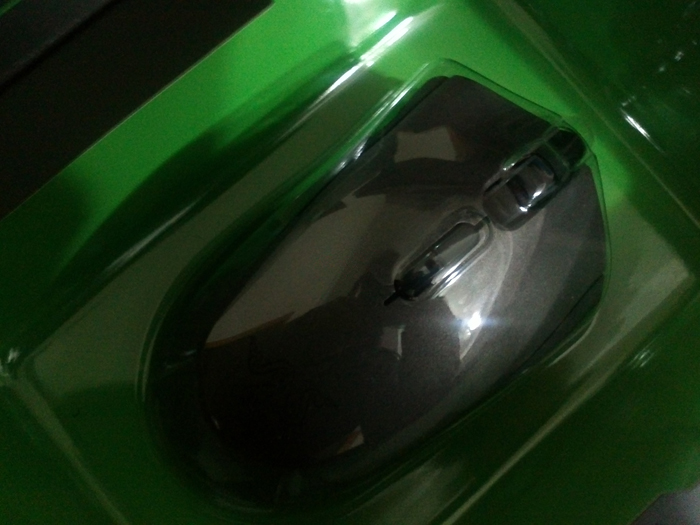 IMG134.jpg