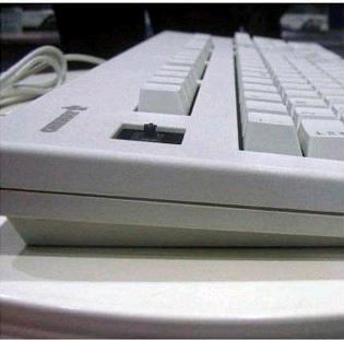 ����ȫ��,ӣ�Ұ�ɫ����,��������V1,��»��.