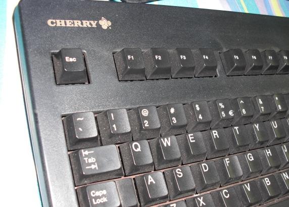 CIMG0167.JPG