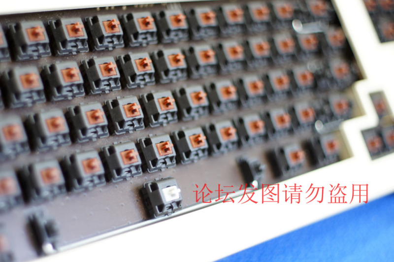 DPP_0002.JPG