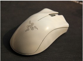 ��  ̳�������������İ��� ��