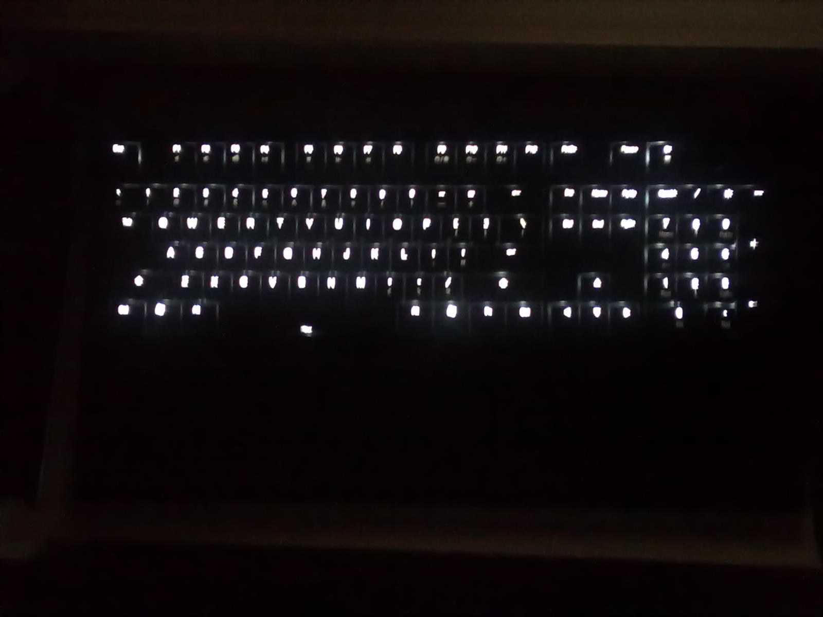 Ducky9008 Shining���7g�����У�ˬ����