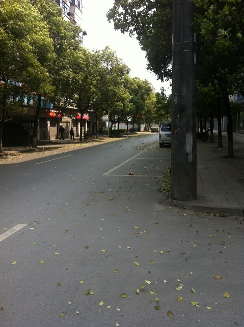 ͬѧ���簲~~~��ʷ�ϵĽ��졣