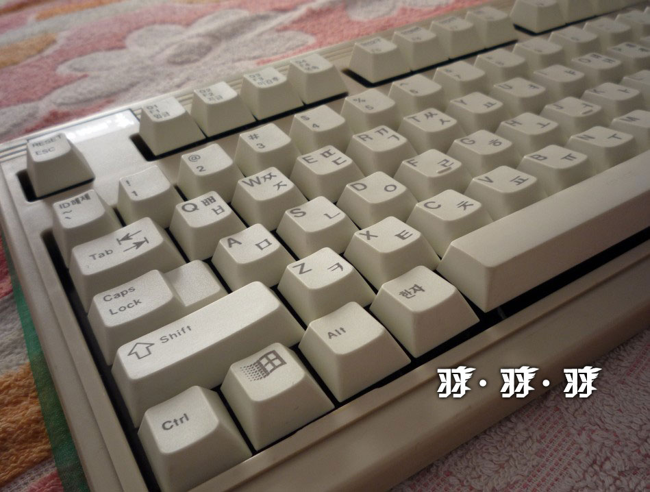 ¡ռDIYerĸ޳壩Сԭ飬޳DIY40%ʵ¼
