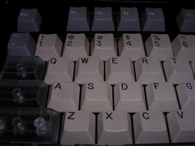 01.jpg