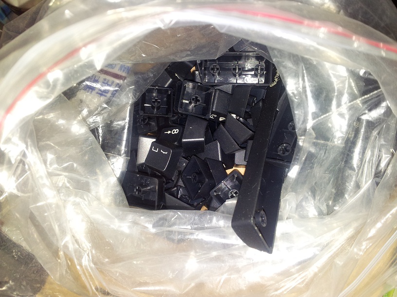�����ϡ�ducky1087������̺�ɫ������~