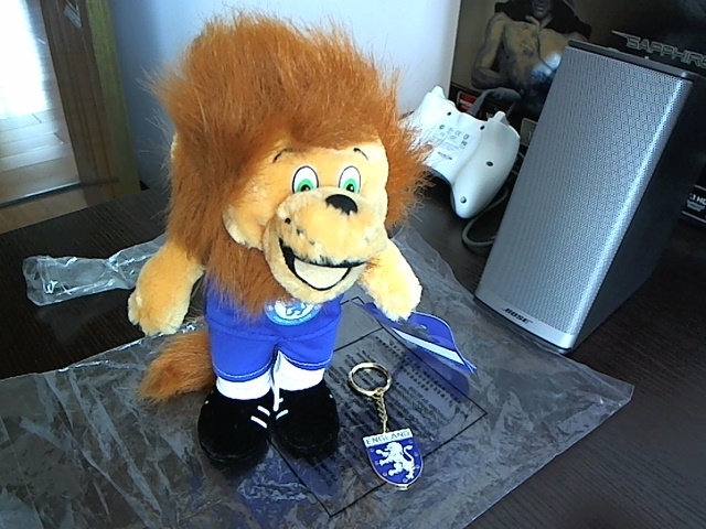 һֻ�ж���ʨ��